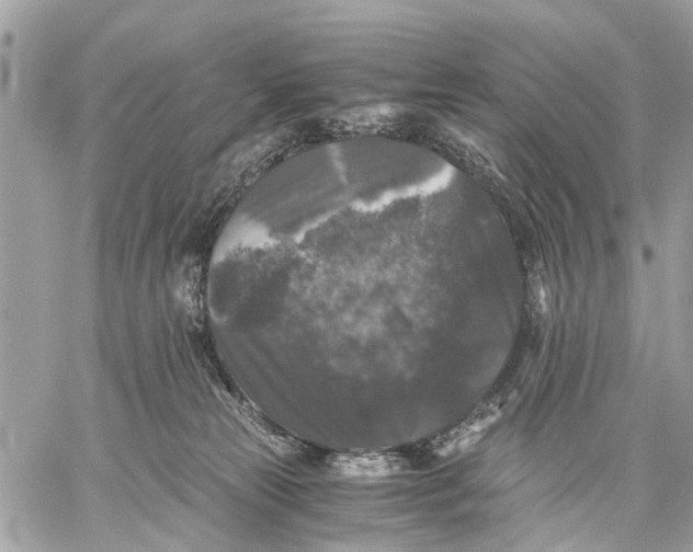 X0000058760181200510211707