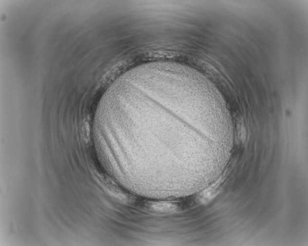 X0000058760183200510211707