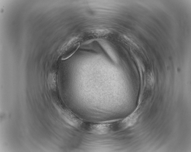 X0000058760184200510211707