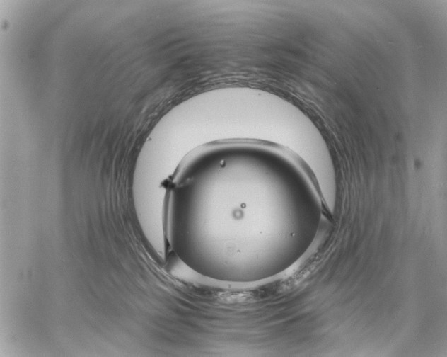 X0000058760185200510211707