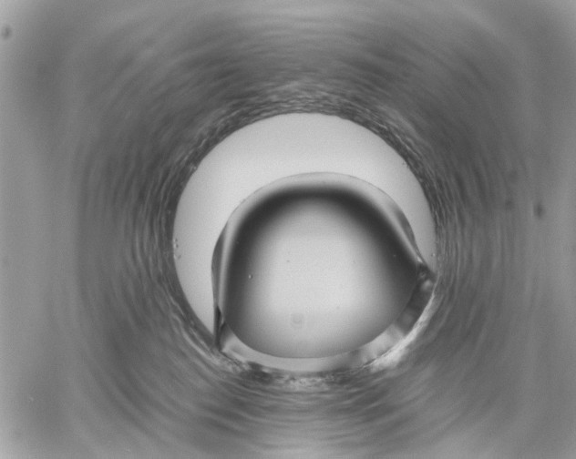 X0000058760186200510211707