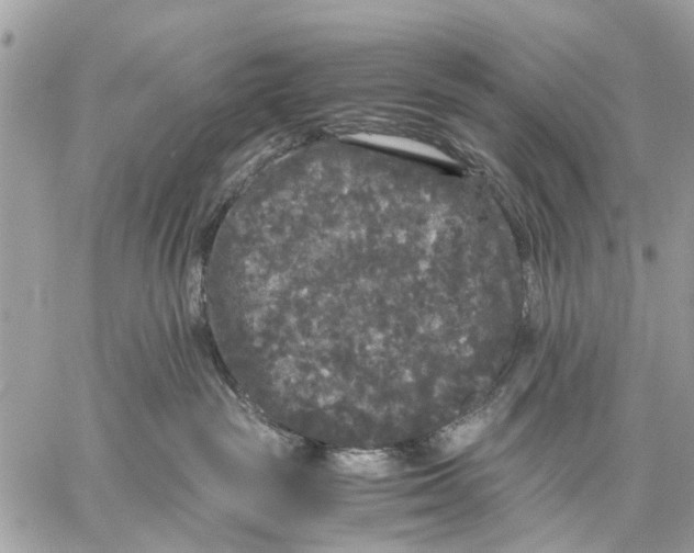 X0000058760189200510211707