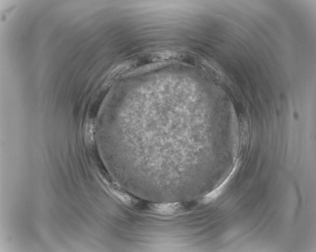 X0000058760191200510211707