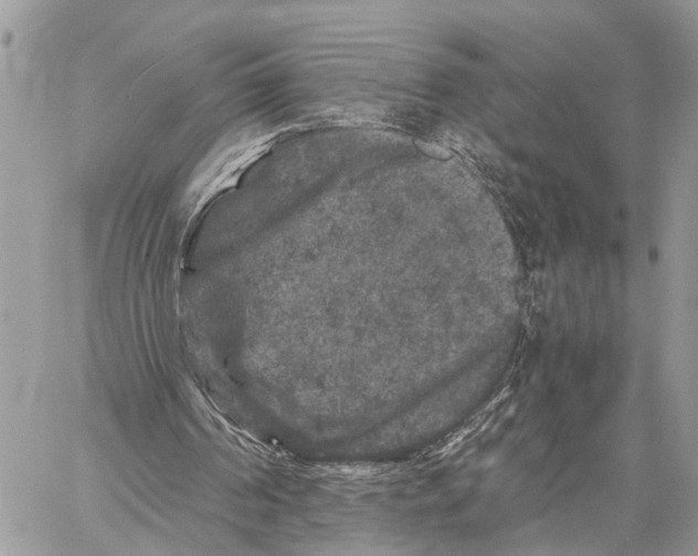 X0000058760194200510211706