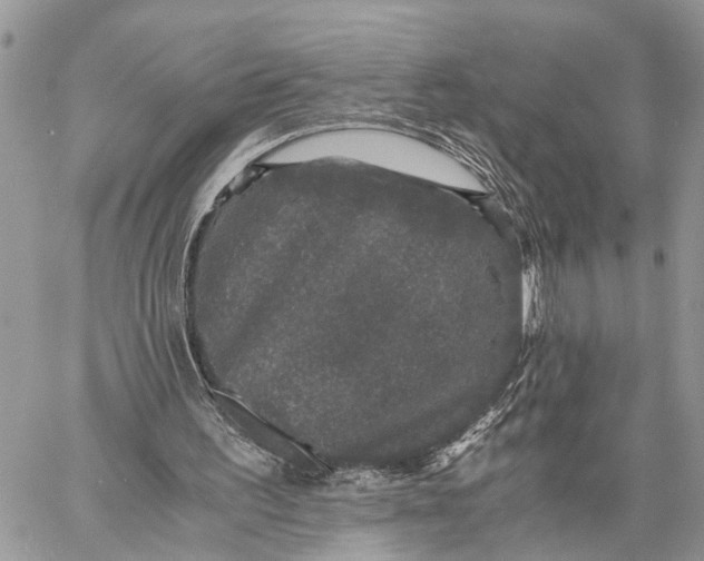 X0000058760195200510211706