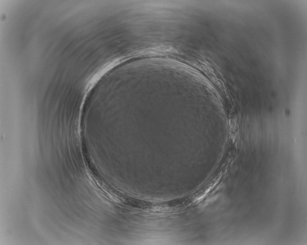 X0000058760196200510211706