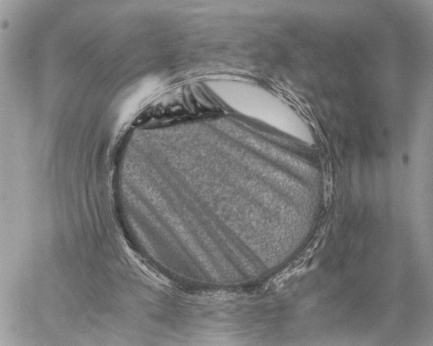 X0000058760197200510211706