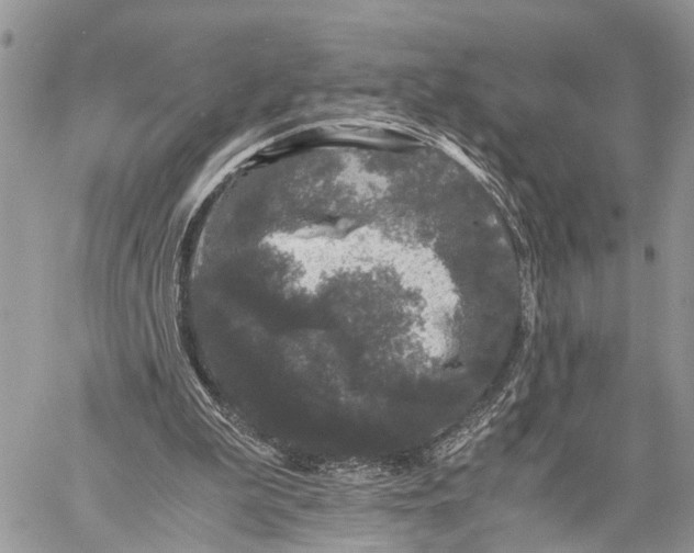 X0000058760199200510211706