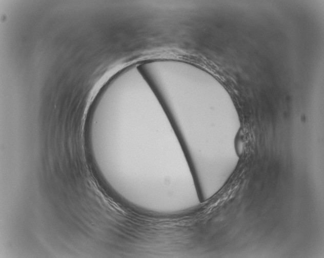 X0000058760200200510211706