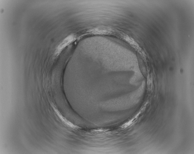 X0000058760201200510211706