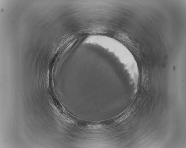 X0000058760202200510211706