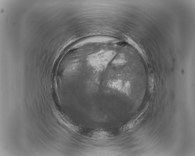 X0000058760203200510211706