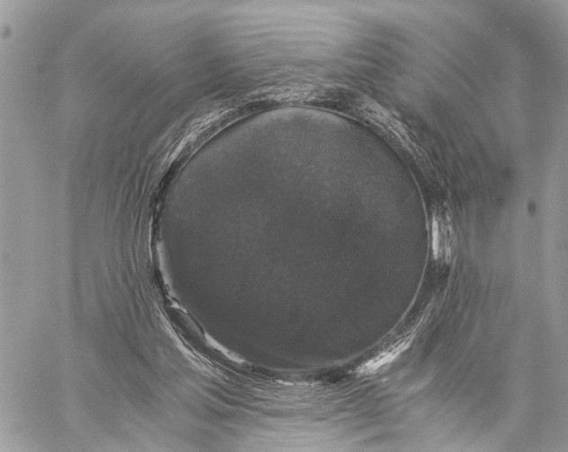 X0000058760205200510211706