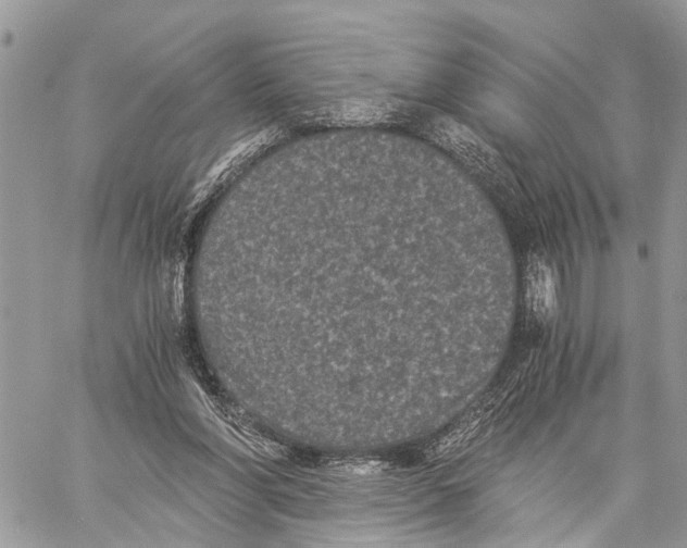 X0000058760206200510211706