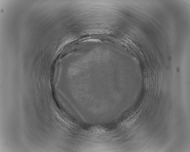 X0000058760207200510211706