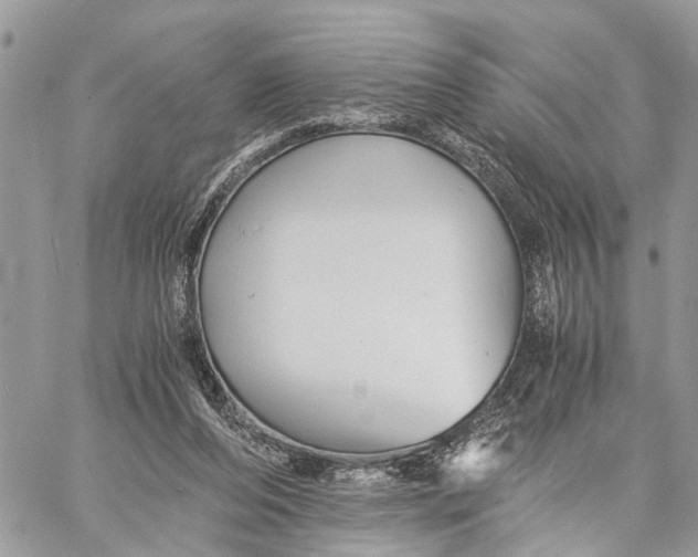 X0000058760208200510211706