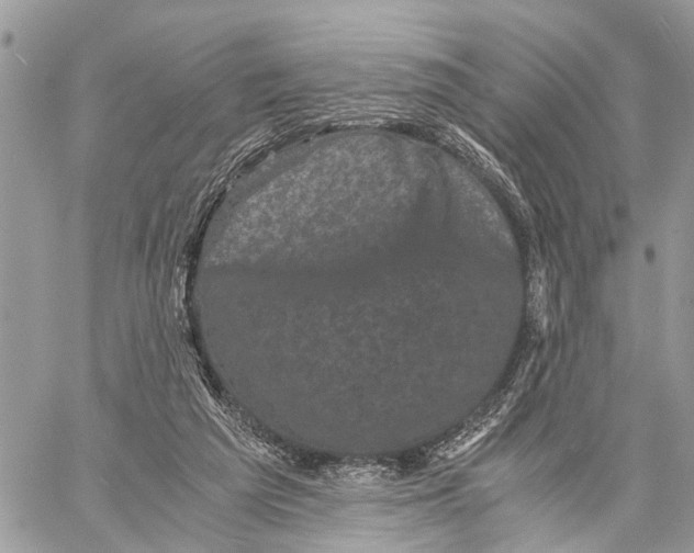 X0000058760209200510211706