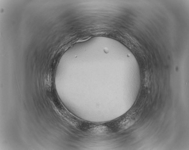 X0000058760210200510211706