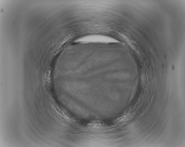 X0000058760211200510211706