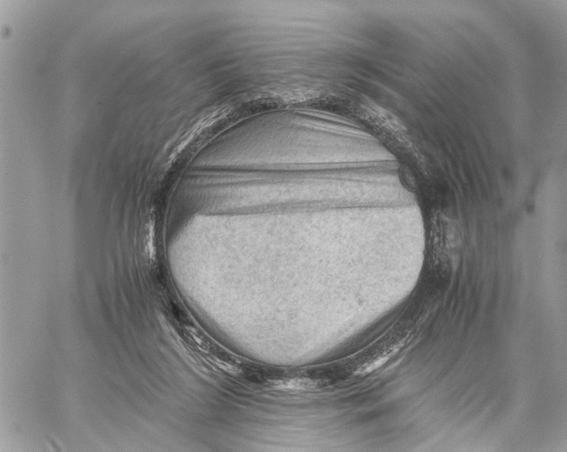 X0000058760212200510211706