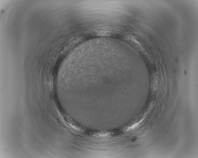 X0000058760213200510211706