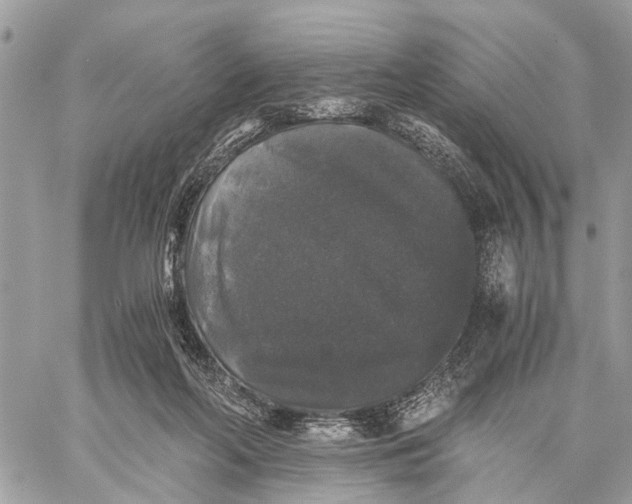 X0000058760214200510211706