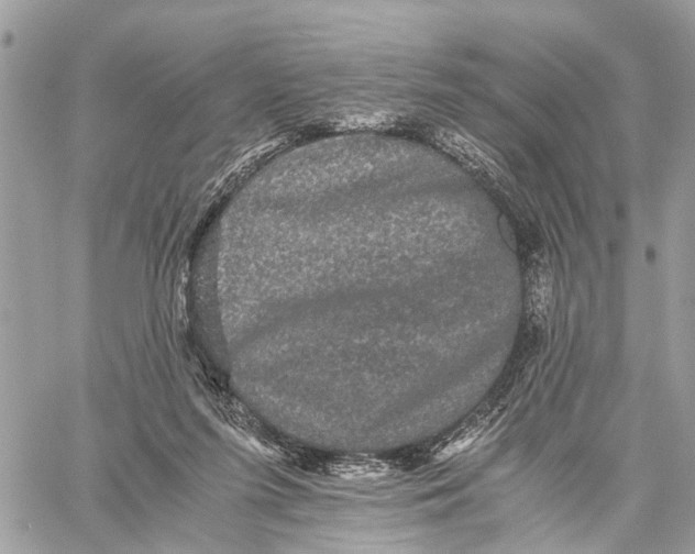 X0000058760215200510211706