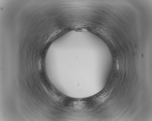 X0000058760216200510211706