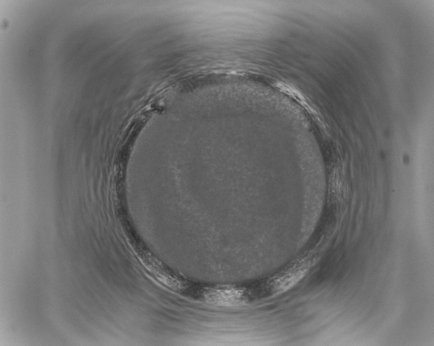 X0000058760217200510211706