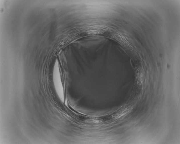 X0000058760219200510211706