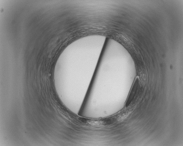 X0000058760221200510211706