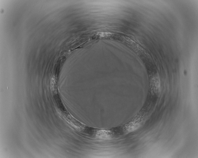 X0000058760222200510211706