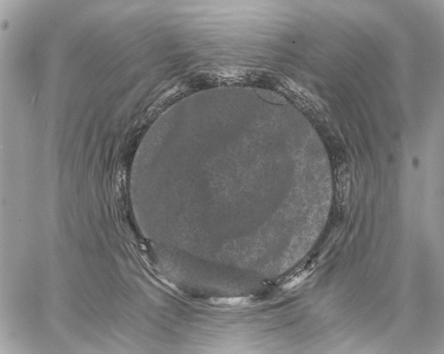 X0000058760225200510211706