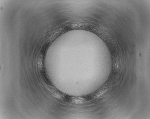 X0000058760226200510211705