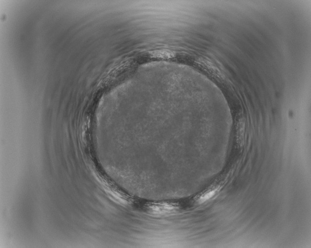 X0000058760229200510211705