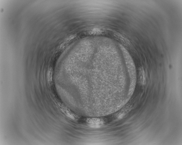 X0000058760230200510211705