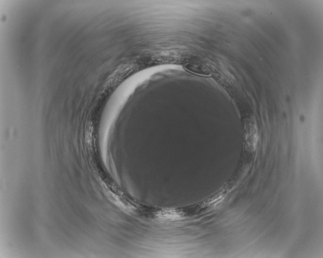 X0000058760231200510211705