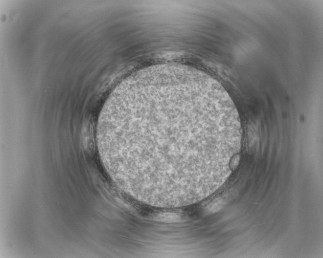 X0000058760236200510211705