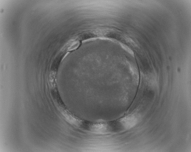 X0000058760237200510211705