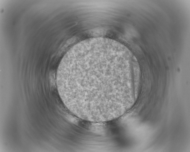 X0000058760240200510211705