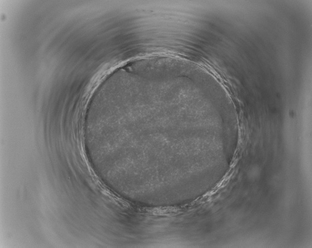 X0000058760241200510211704