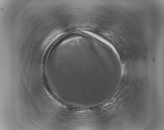 X0000058760243200510211705