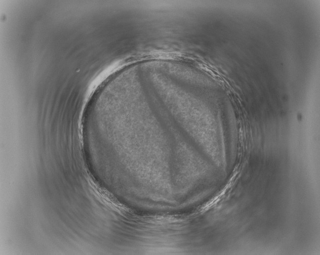 X0000058760246200510211705