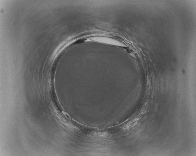 X0000058760247200510211705