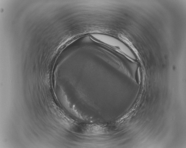 X0000058760249200510211705