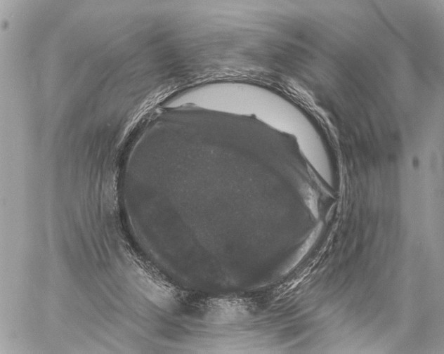 X0000058760250200510211705