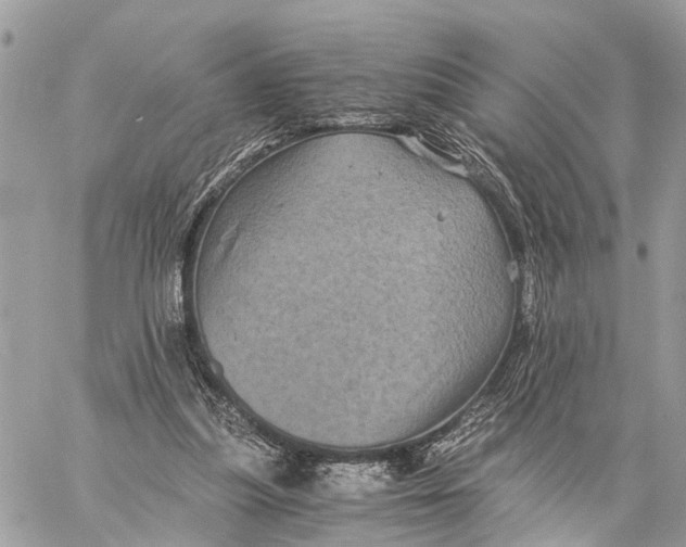 X0000058760251200510211705