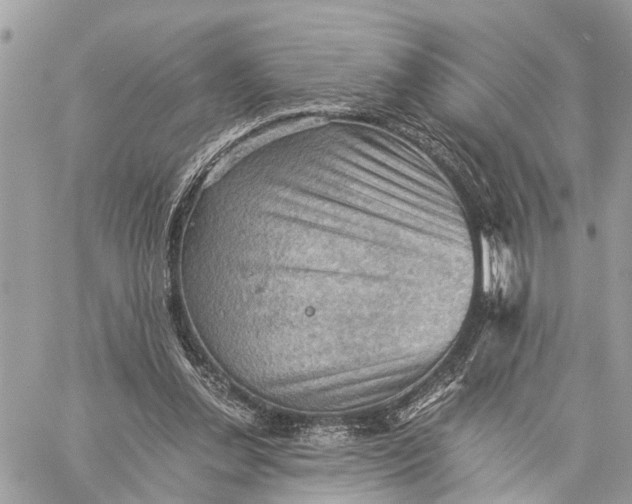 X0000058760252200510211705