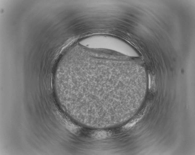 X0000058760253200510211705