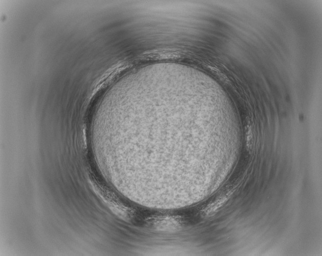 X0000058760254200510211705